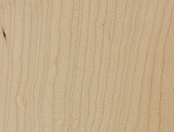 Northern Hard Rock Maple