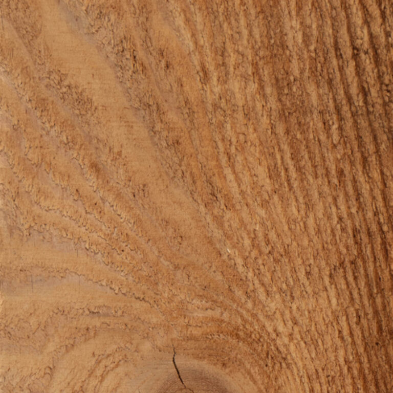 Close-up of warm light-brown wood showing pronounced textured grain and radiating growth rings with a small knot and hairline crack near the bottom.