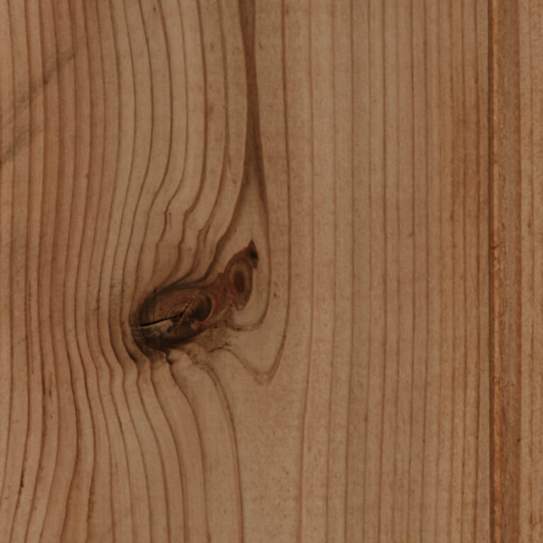 Close-up of a light brown wooden plank showing vertical grain lines and a dark oval knot with concentric rings.