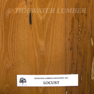 Locust Flooring Close-up of a warm orange-brown locust wood sample showing grain, knots and small bore holes, with a white label at the bottom reading Tidewater Lumber & Moulding, Inc. LOCUST and a faint © TIDEWATER LUMBER watermark across the top