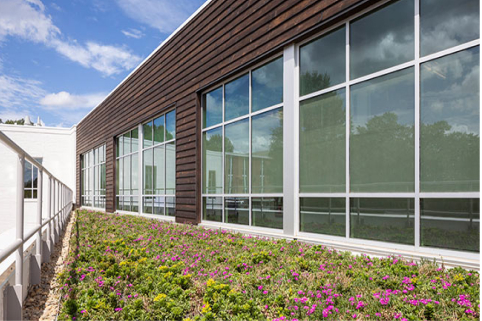 Low-angle view along a modern building's exterior with dark horizontal wood cladding and large grid windows reflecting the sky, a narrow planted roof of green foliage and small pink flowers in the foreground and a white handrail to the left.