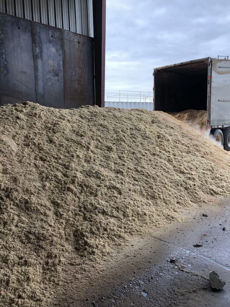 Large indoor pile of light-colored wood shavings or sawdust being unloaded from an open trailer into a storage bay